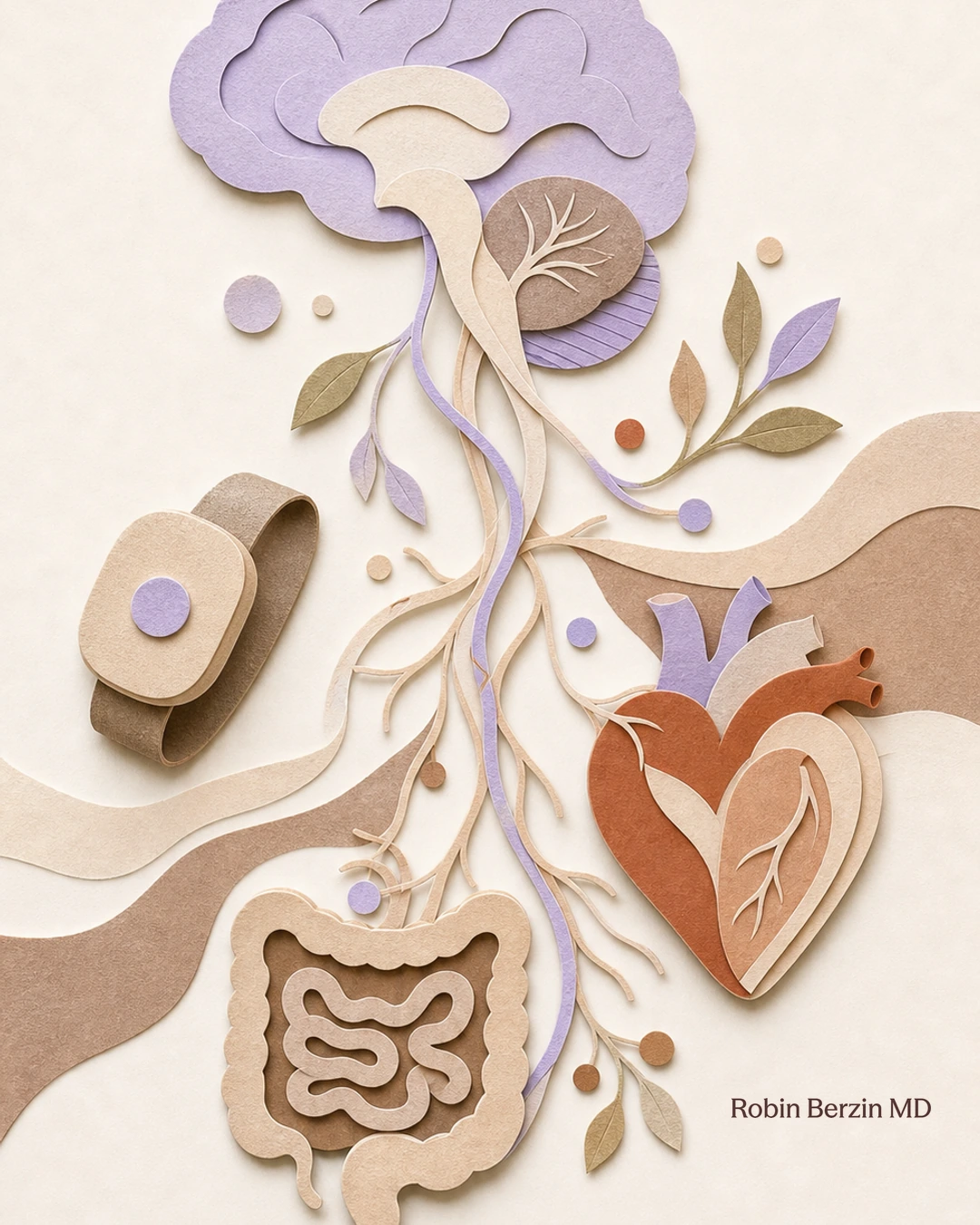 Cut-paper collage connecting brain, heart, gut, and vagus nerve.